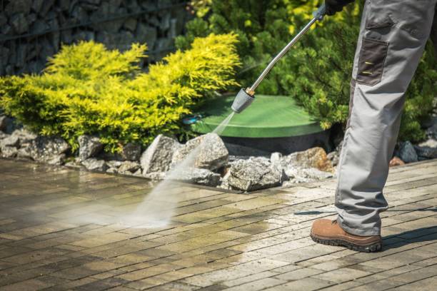 Best Spring Cleaning  in Solvang, CA